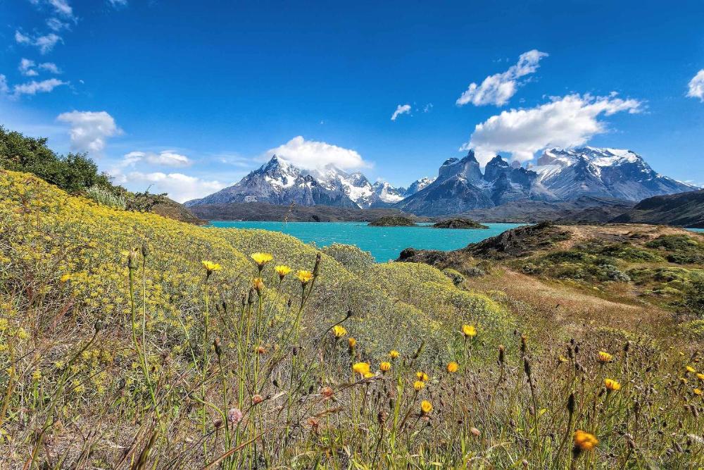 Hotel Las Torres Patagonia - Información, Tarifas y Reservas